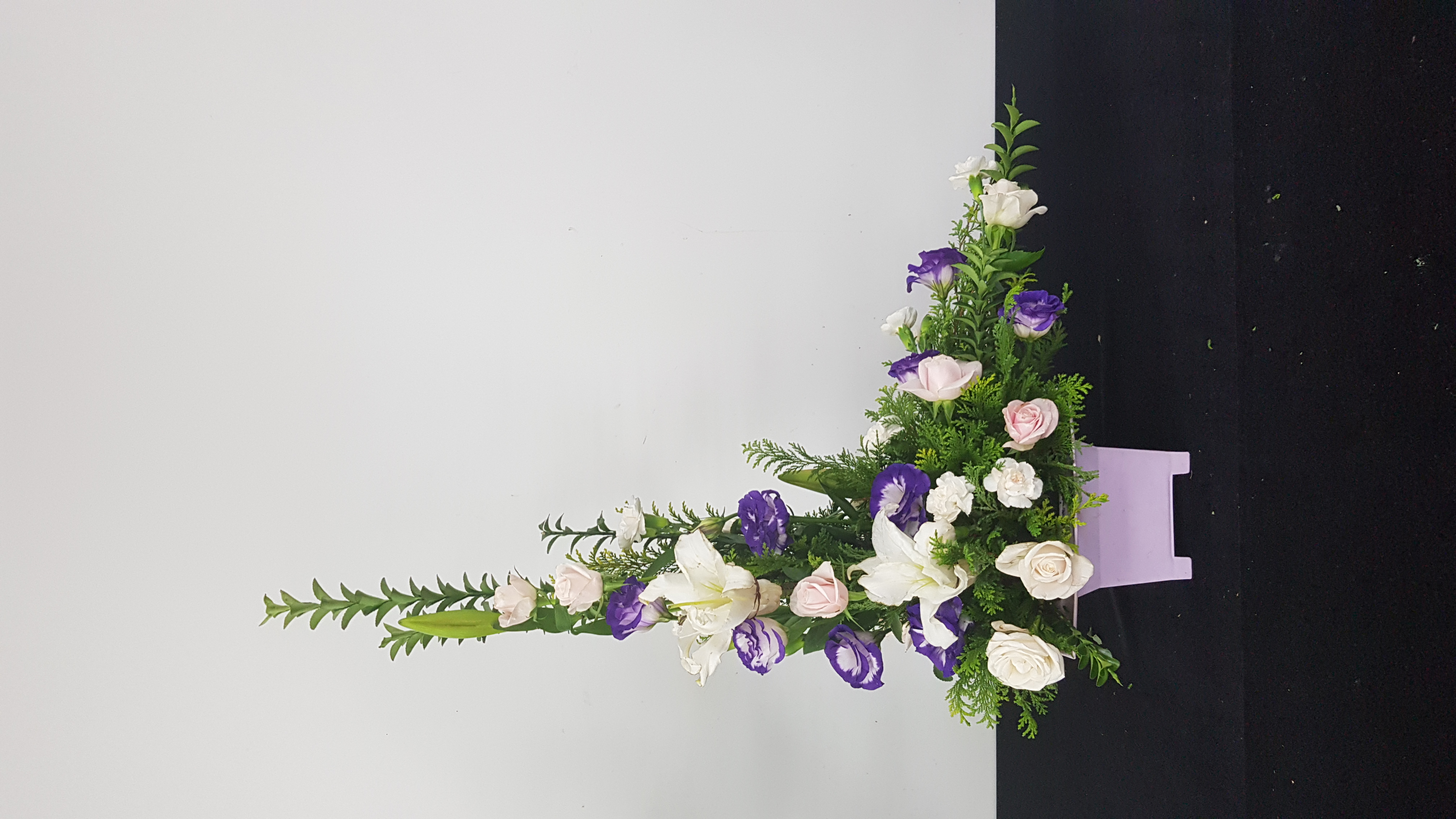 사용자 등록 이미지