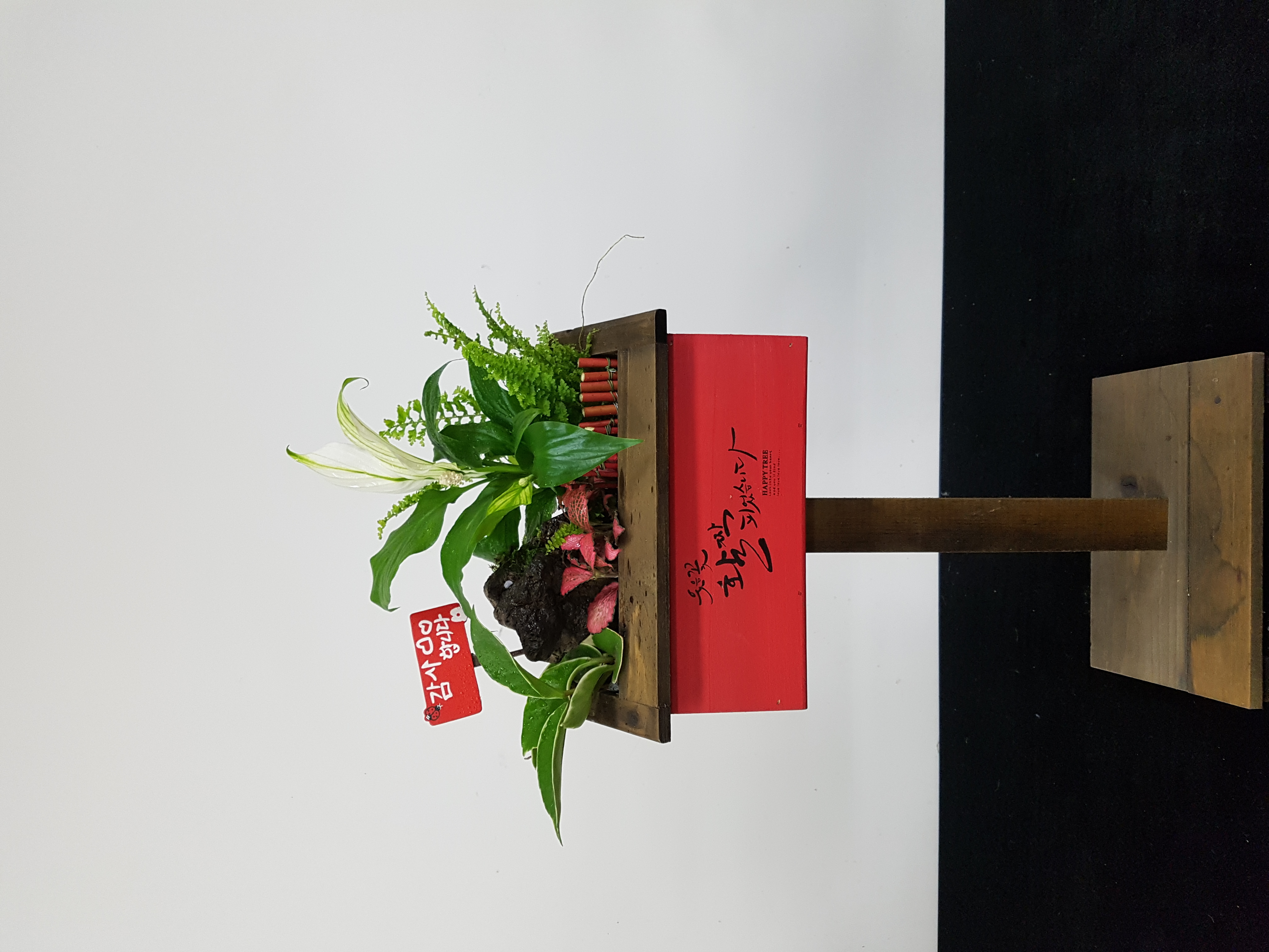 사용자 등록 이미지